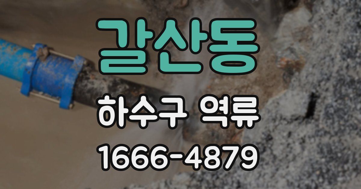 갈산동 하수구 역류