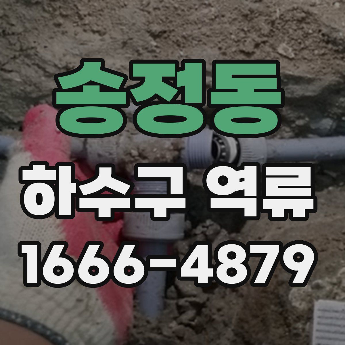 송정동 하수구 역류