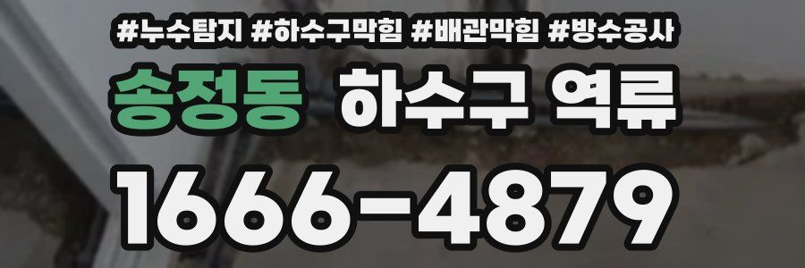 송정동 하수구 역류