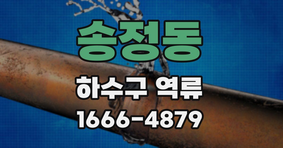 송정동 하수구 역류