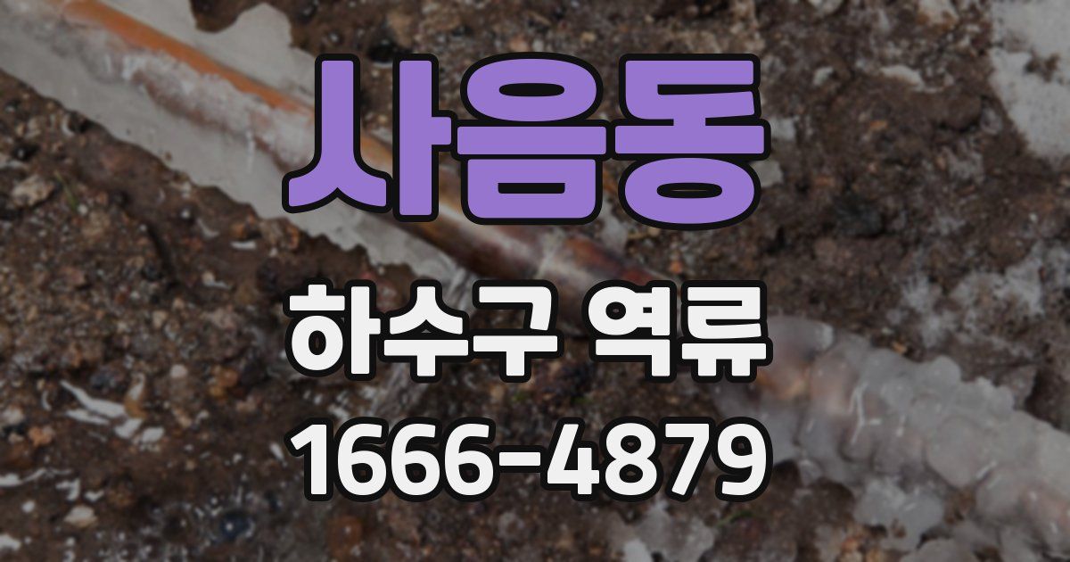 사음동 하수구 역류