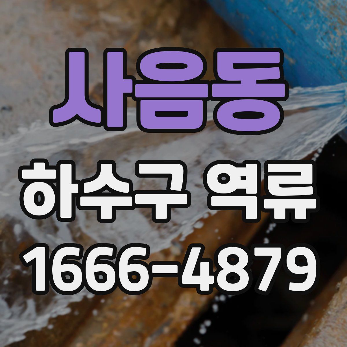 사음동 하수구 역류