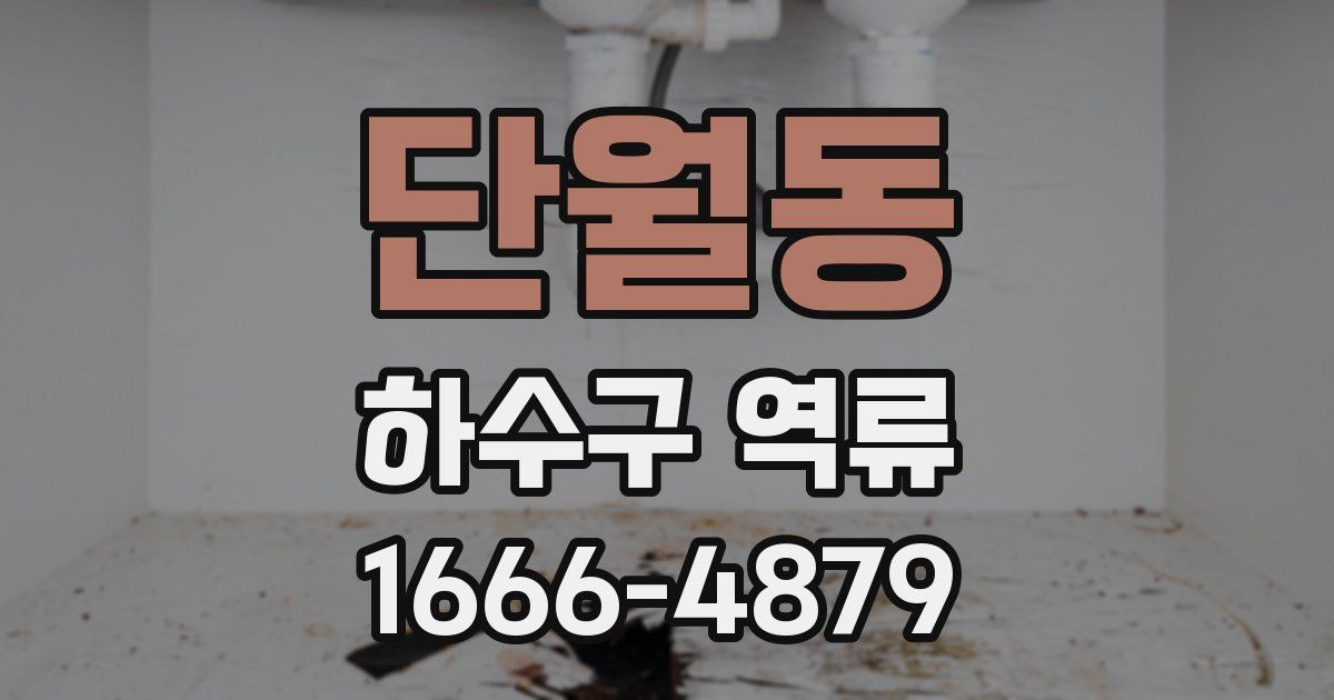 단월동 하수구 역류