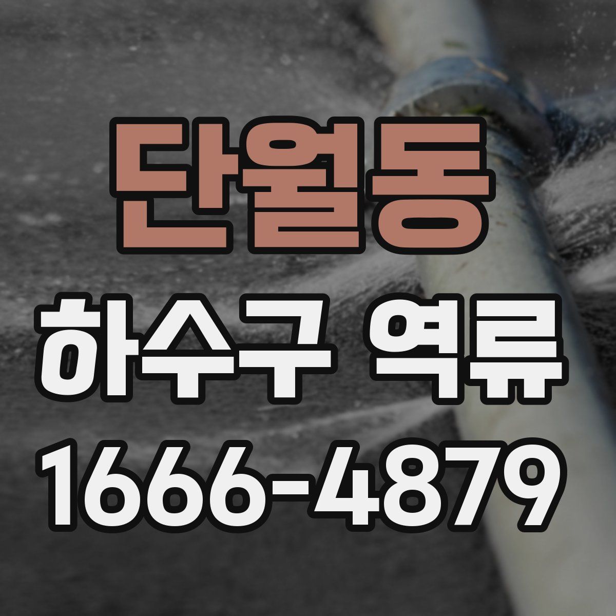 단월동 하수구 역류