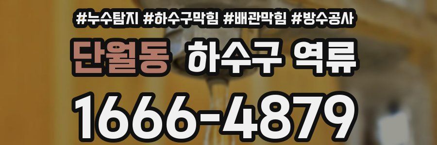단월동 하수구 역류
