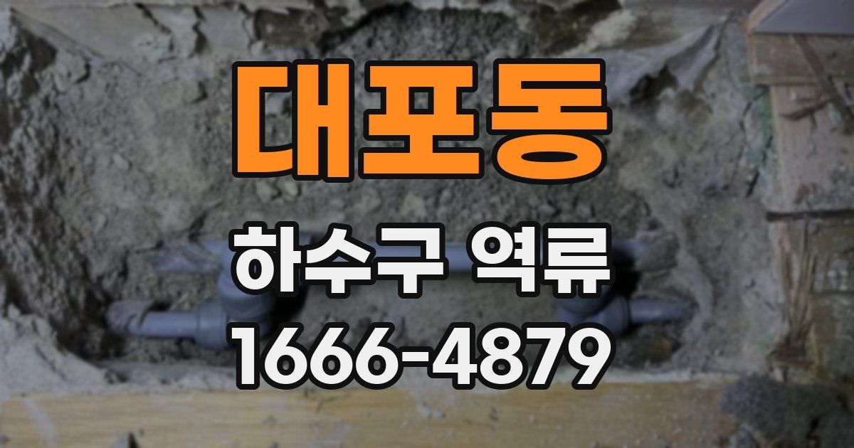 대포동 하수구 역류