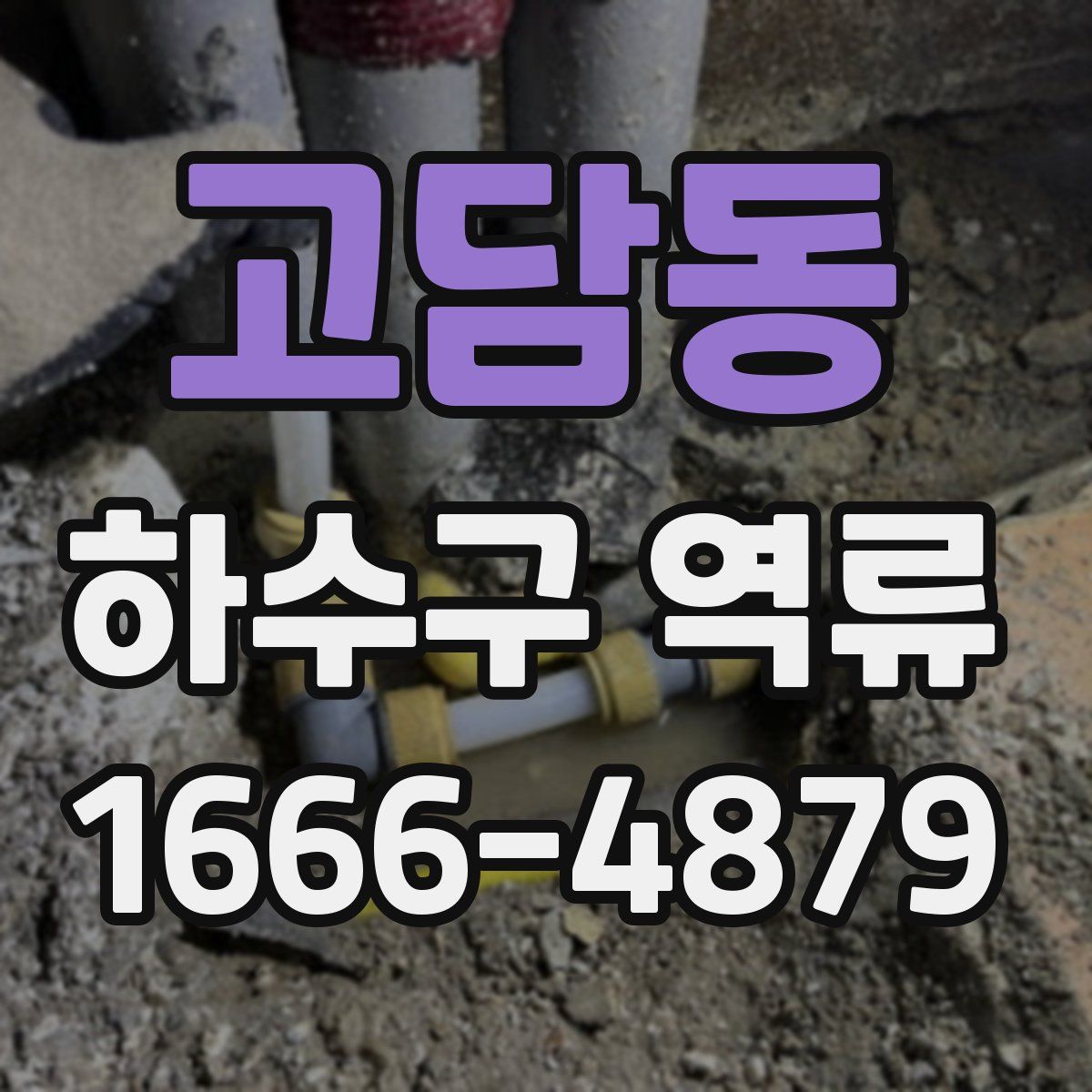 고담동 하수구 역류