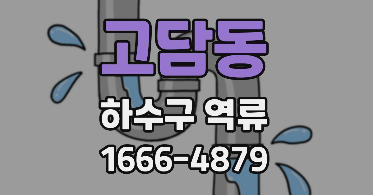 고담동 하수구 역류