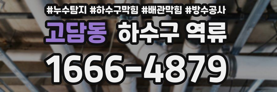 고담동 하수구 역류