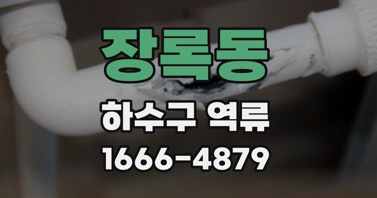장록동 하수구 역류