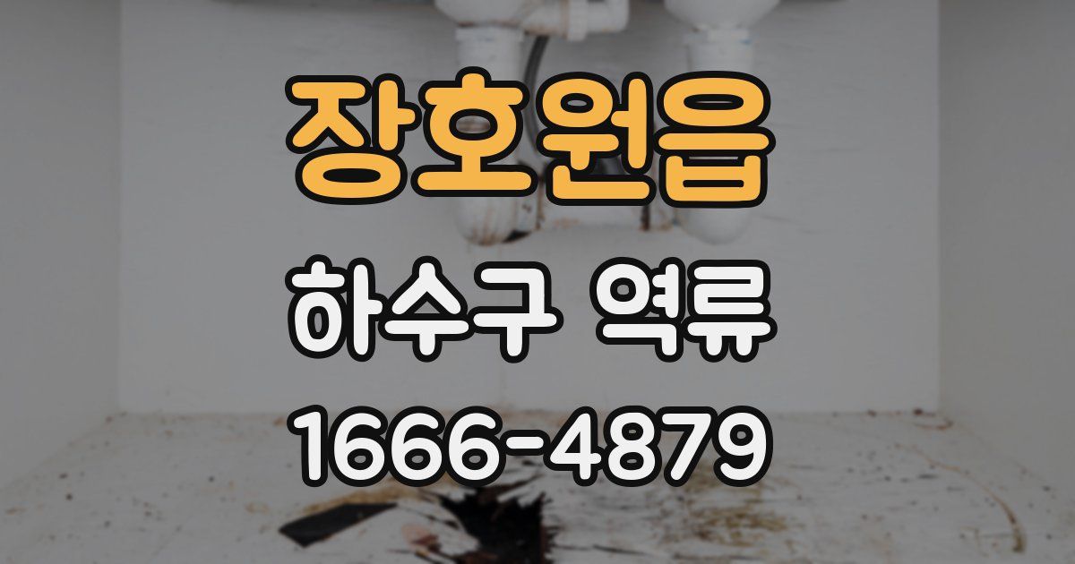 장호원읍 하수구 역류