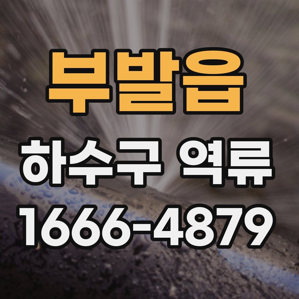 부발읍 하수구 역류