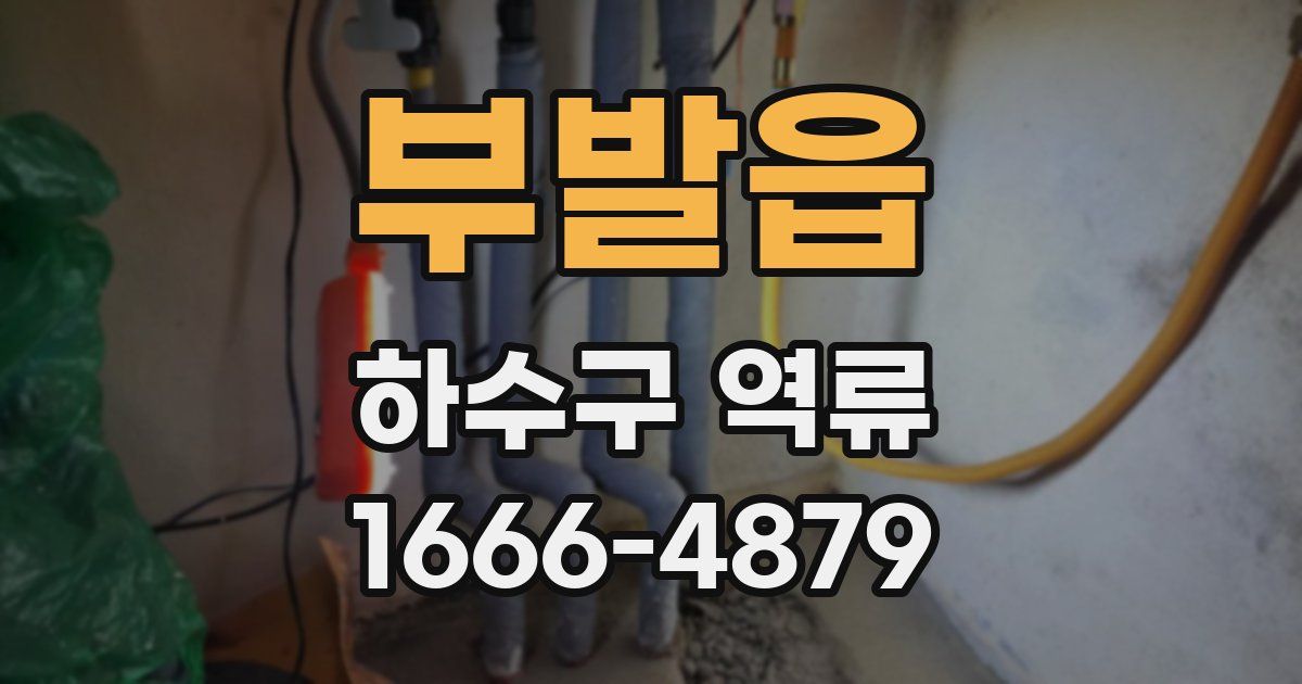 부발읍 하수구 역류