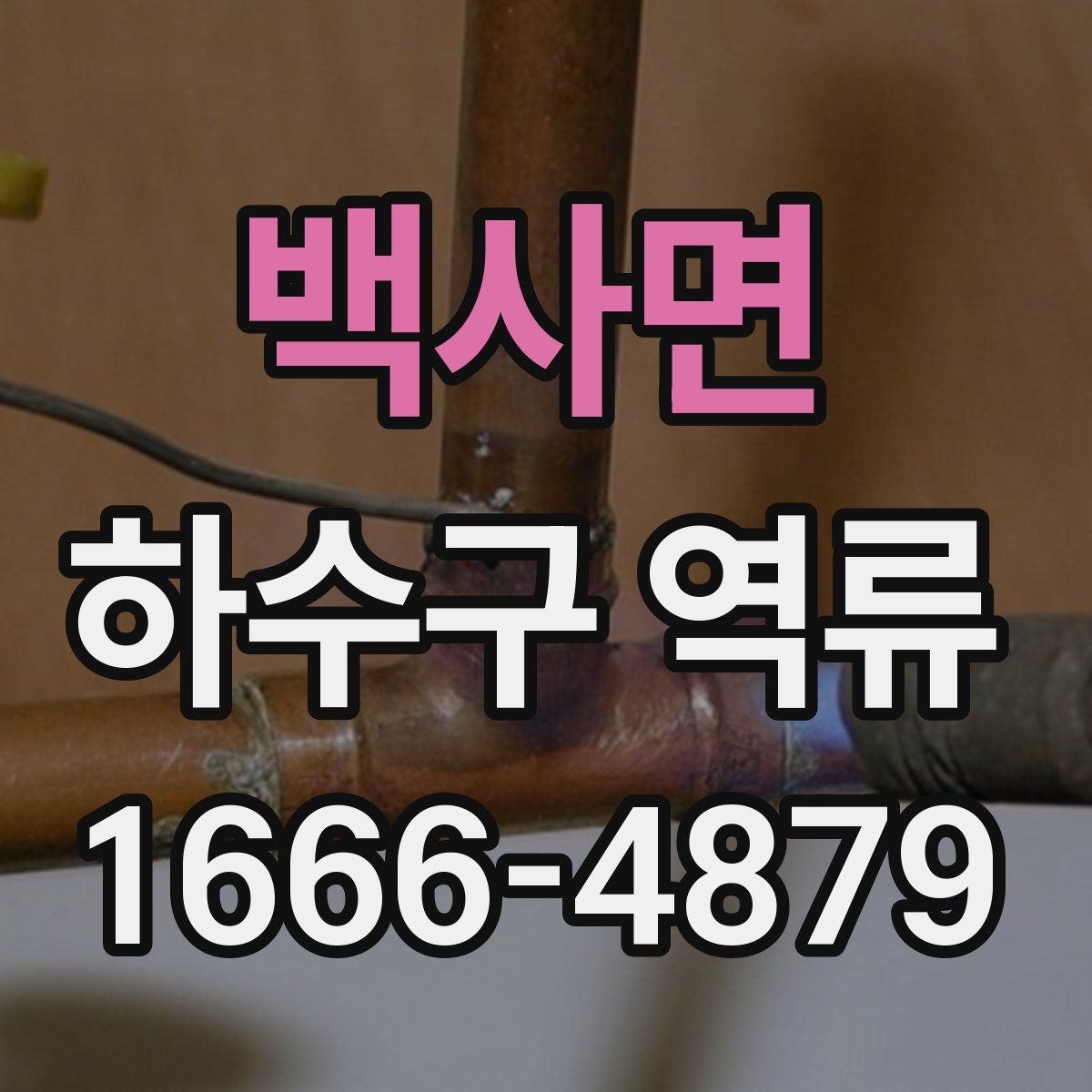 백사면 하수구 역류