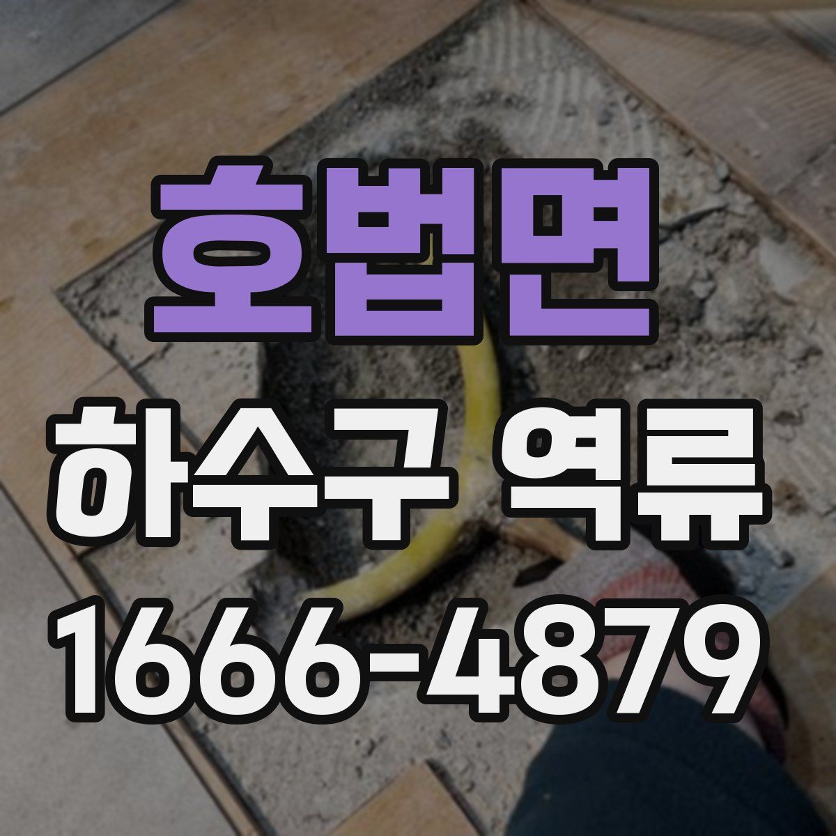 호법면 하수구 역류