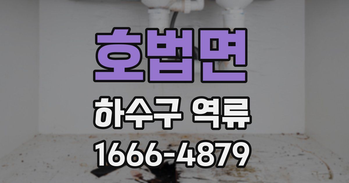 호법면 하수구 역류