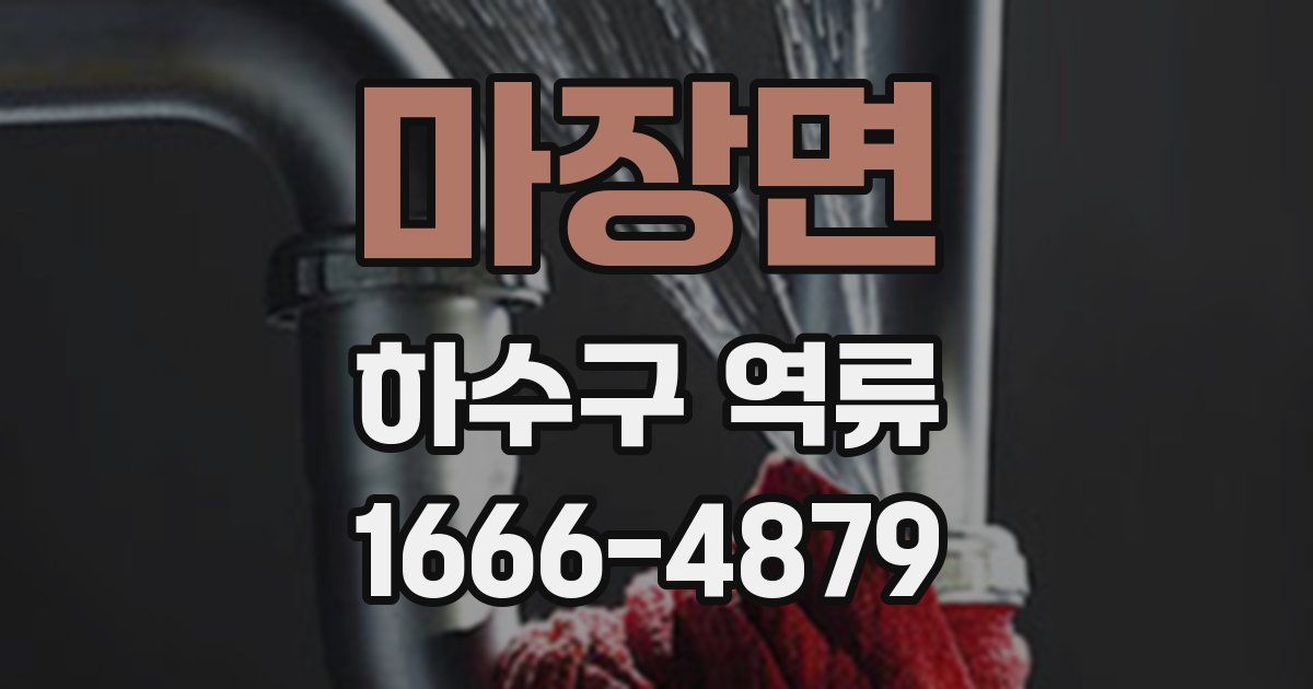 마장면 하수구 역류