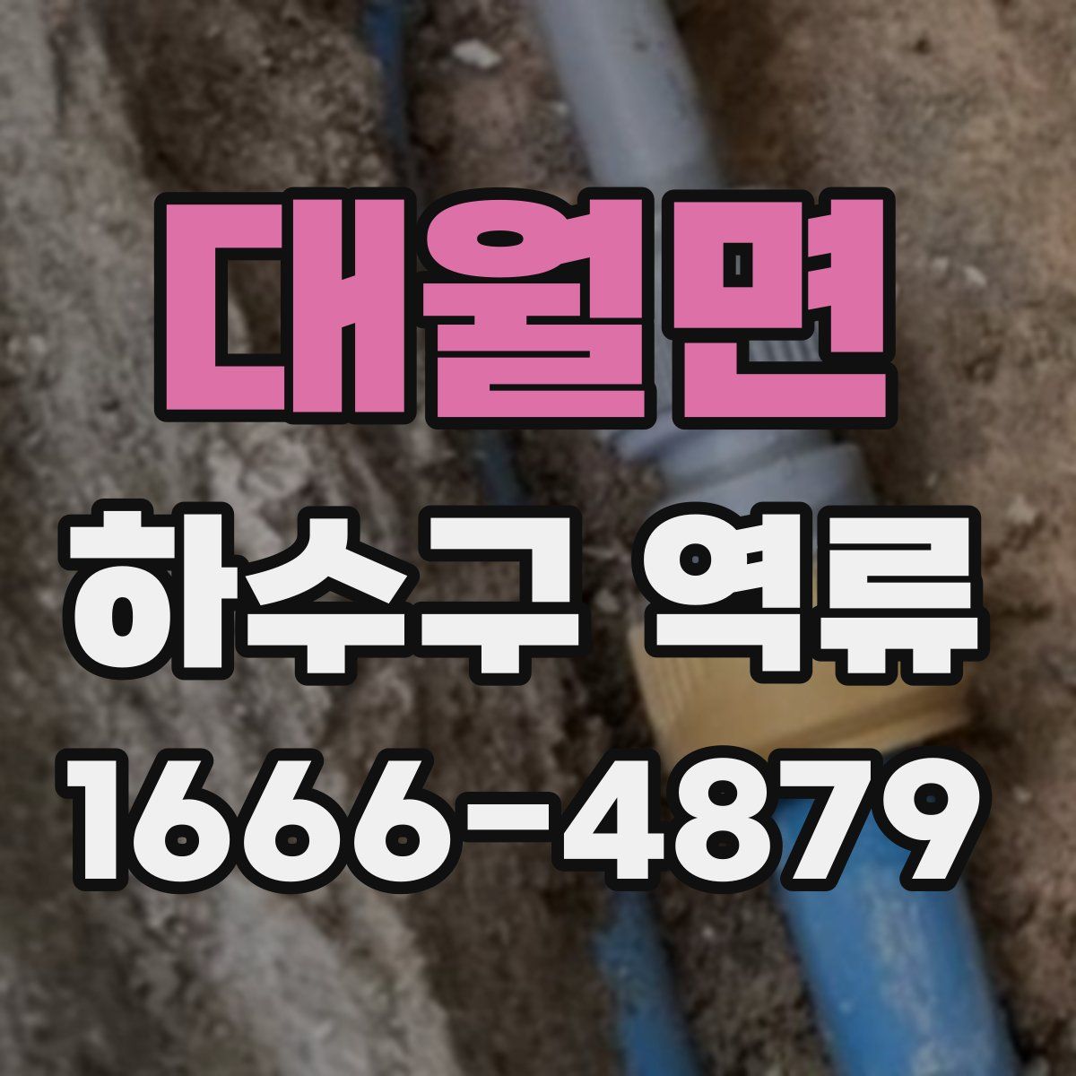 대월면 하수구 역류