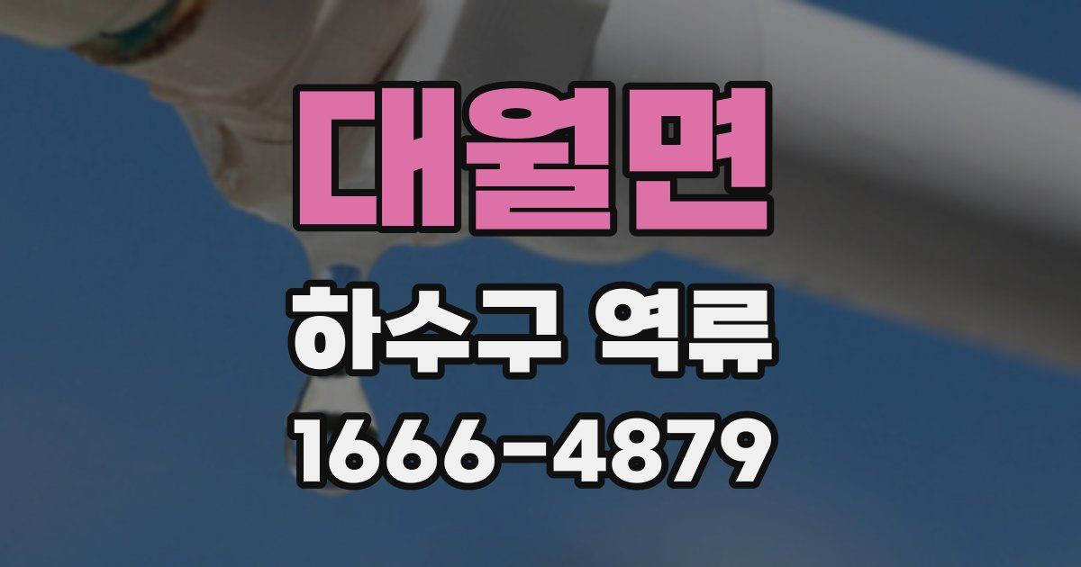 대월면 하수구 역류