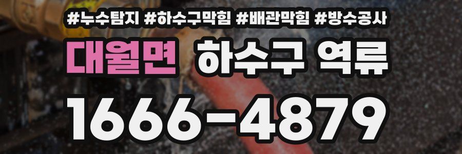 대월면 하수구 역류