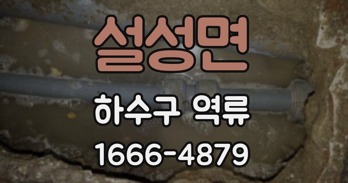 설성면 하수구 역류