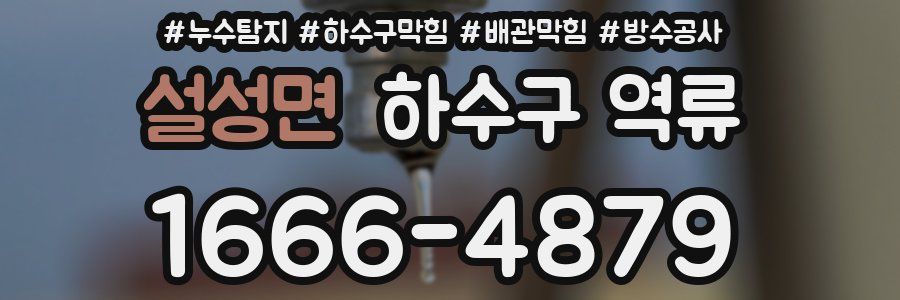 설성면 하수구 역류