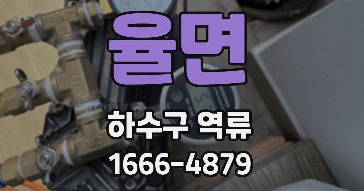 율면 하수구 역류