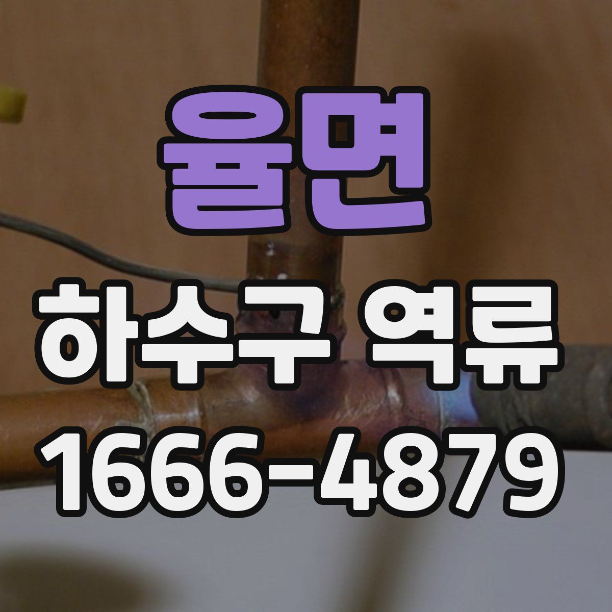 율면 하수구 역류