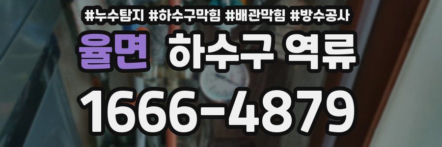 율면 하수구 역류