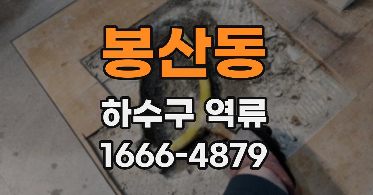 봉산동 하수구 역류