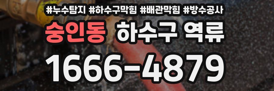 숭인동 하수구 역류