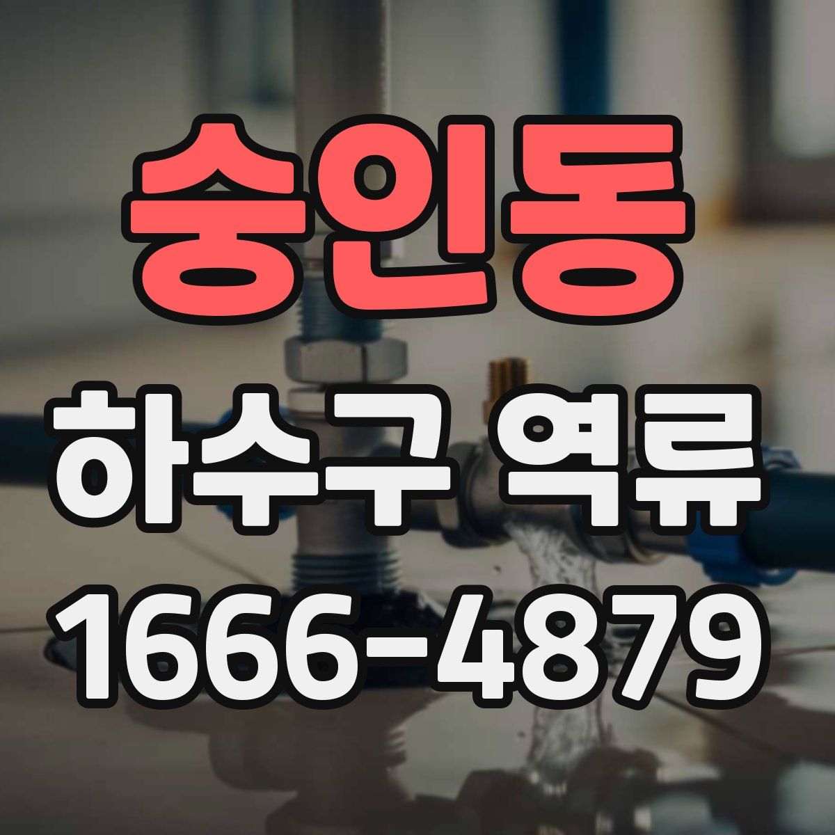 숭인동 하수구 역류