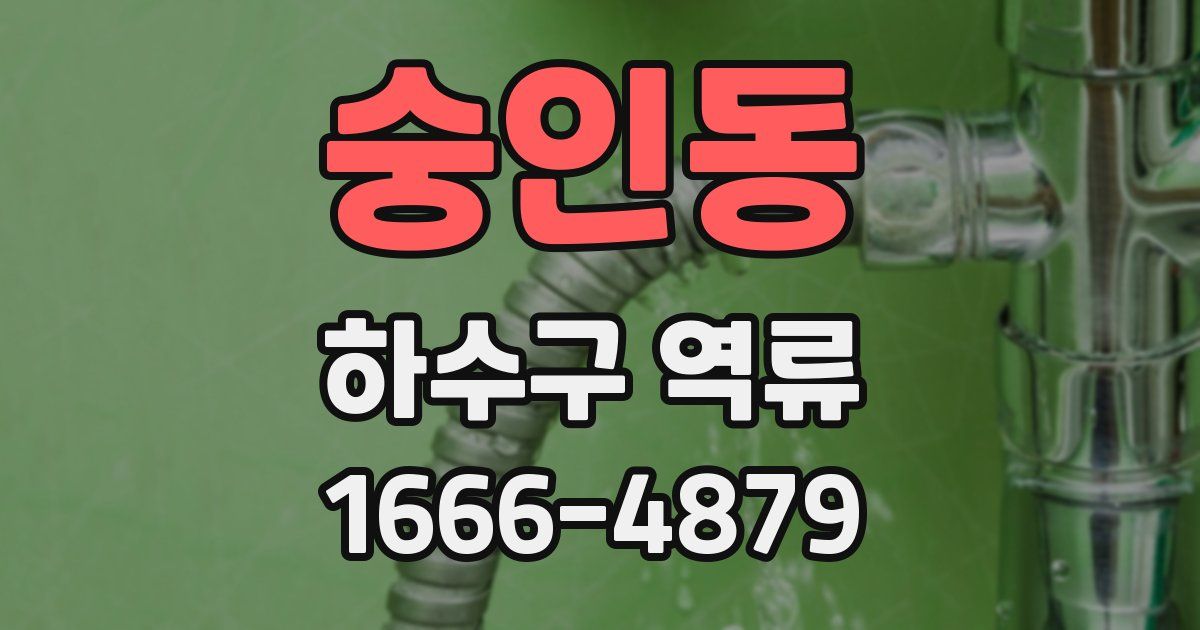 숭인동 하수구 역류
