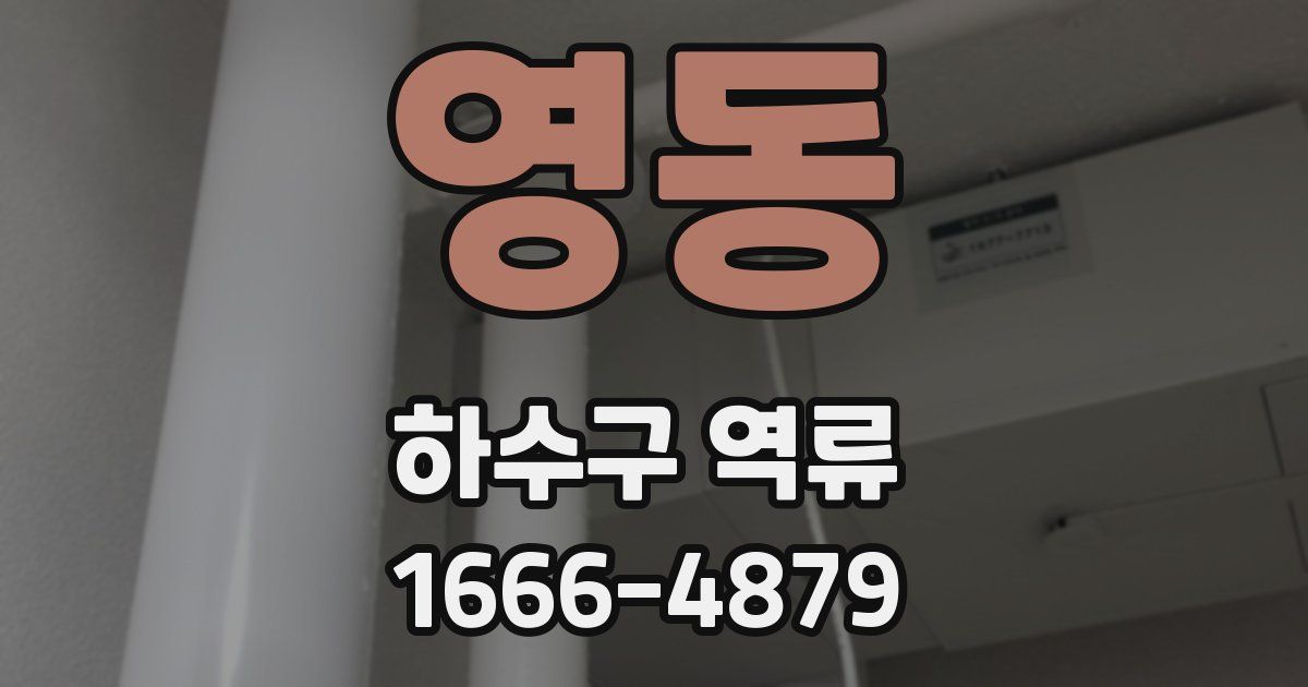 영동 하수구 역류
