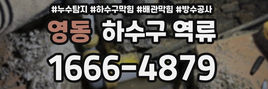 영동 하수구 역류