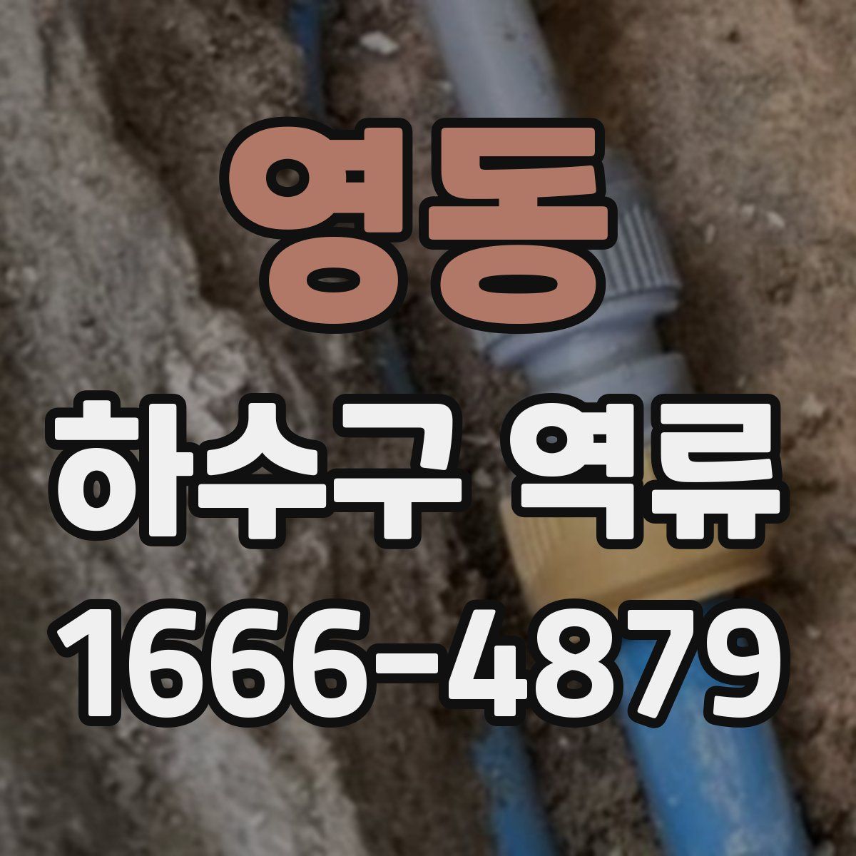 영동 하수구 역류