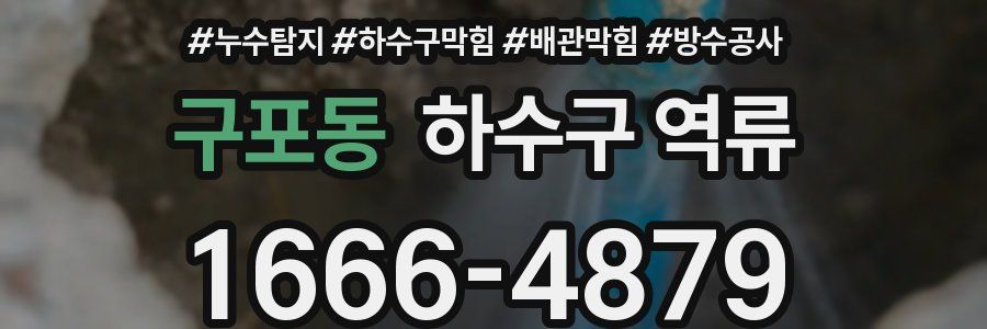 구포동 하수구 역류