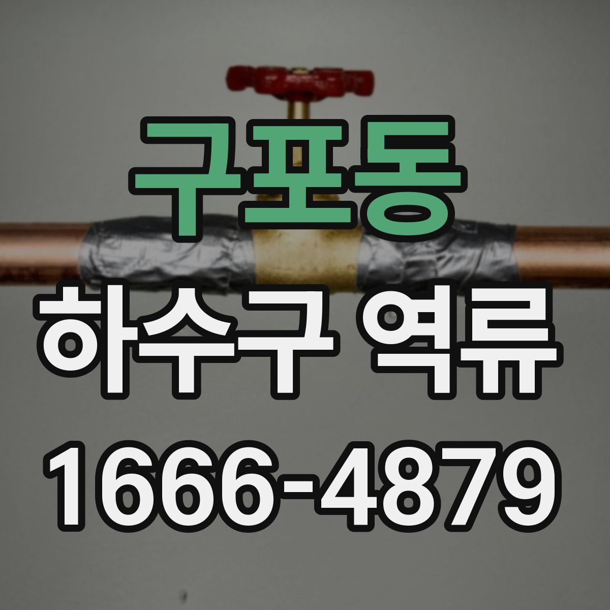 구포동 하수구 역류
