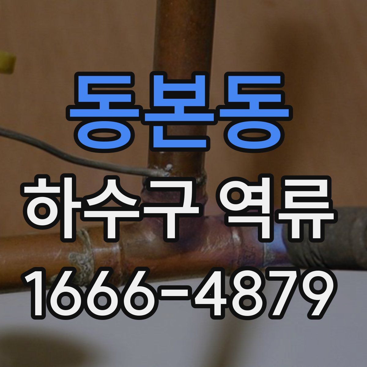 동본동 하수구 역류