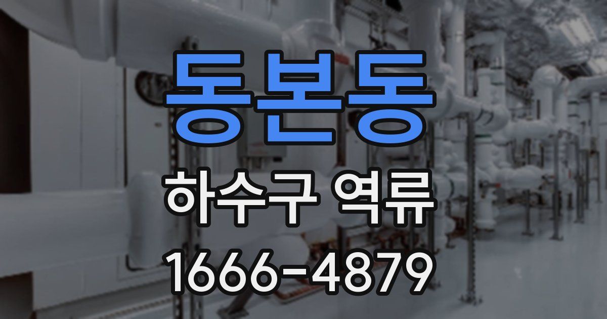 동본동 하수구 역류