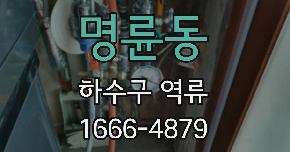 명륜동 하수구 역류