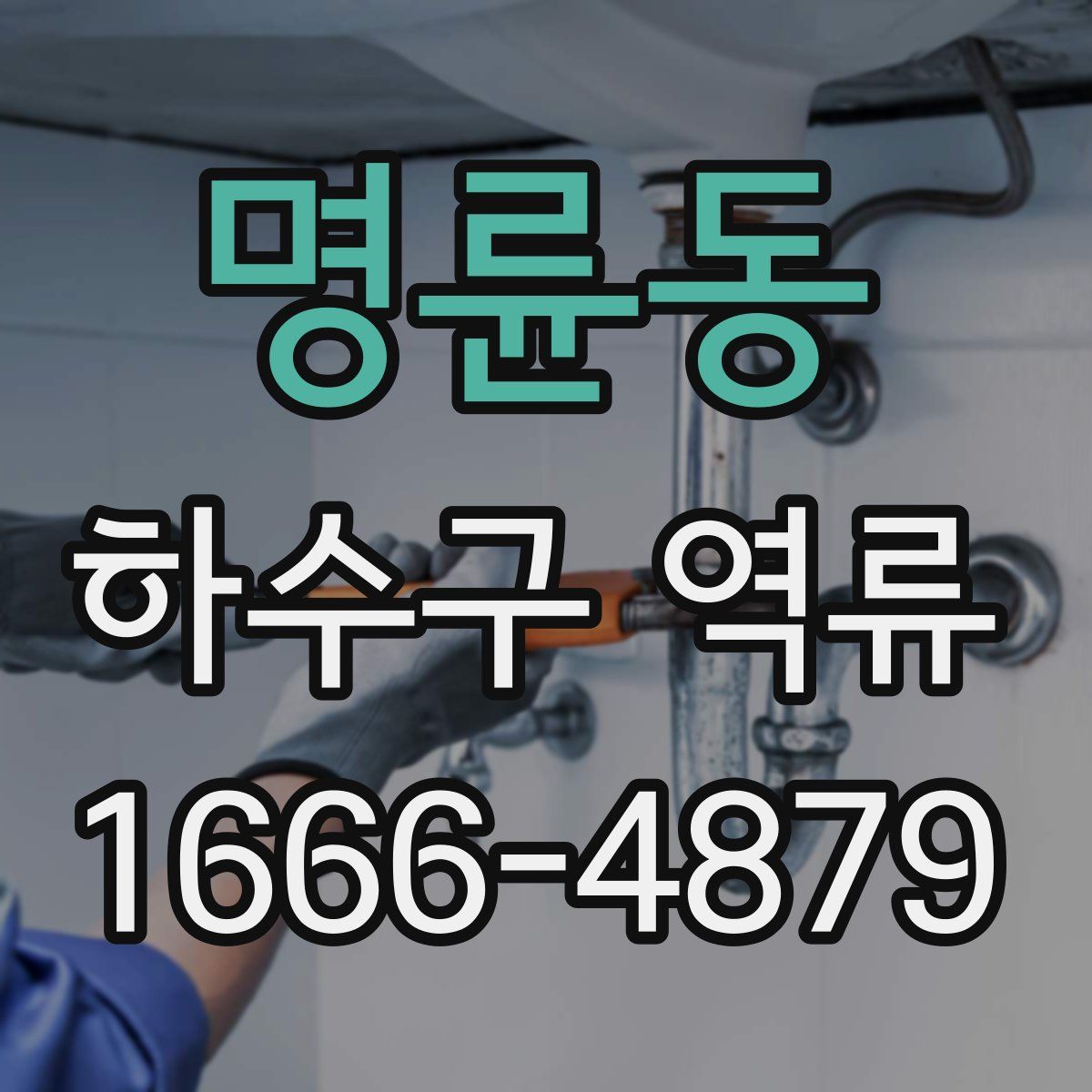명륜동 하수구 역류