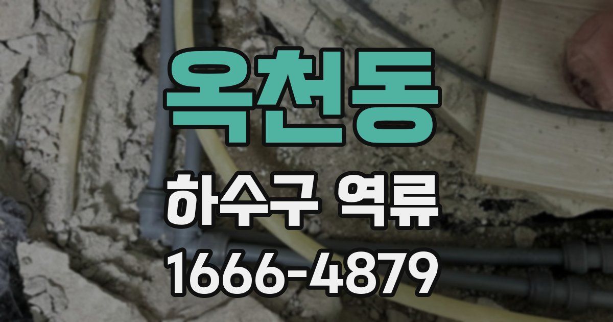옥천동 하수구 역류