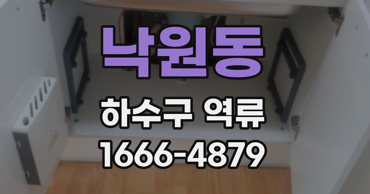 낙원동 하수구 역류