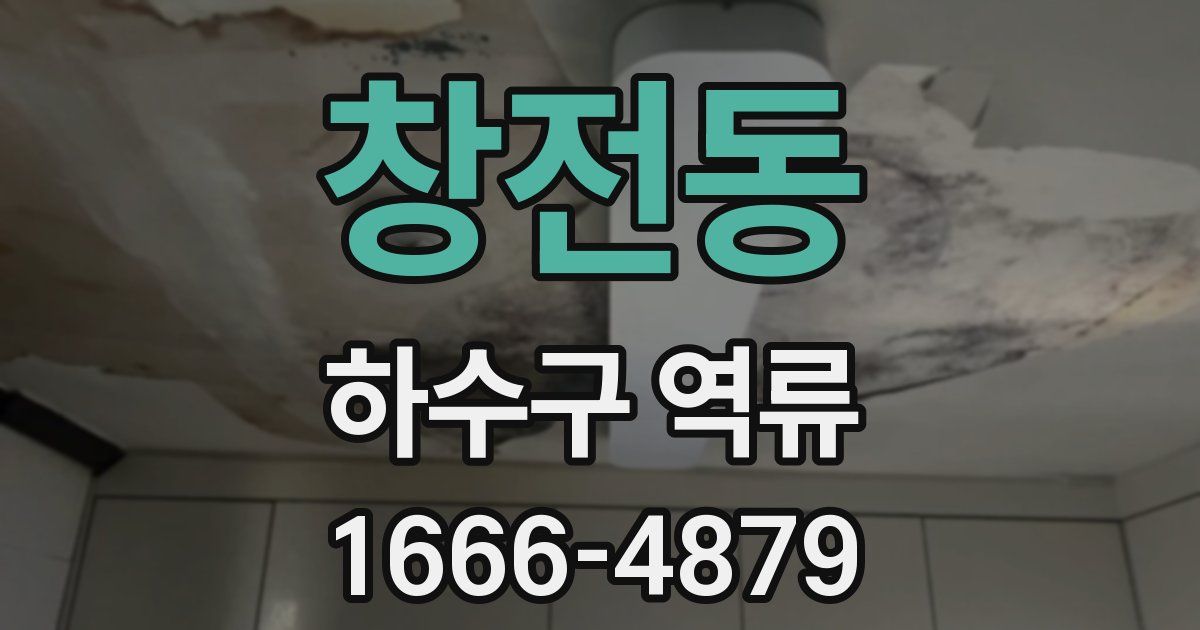 창전동 하수구 역류