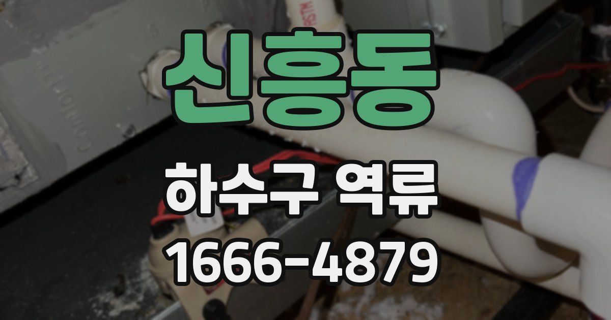 신흥동 하수구 역류