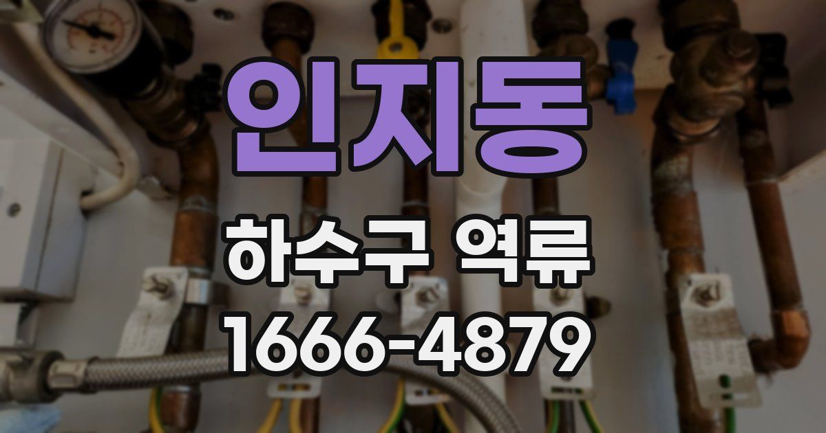 인지동 하수구 역류