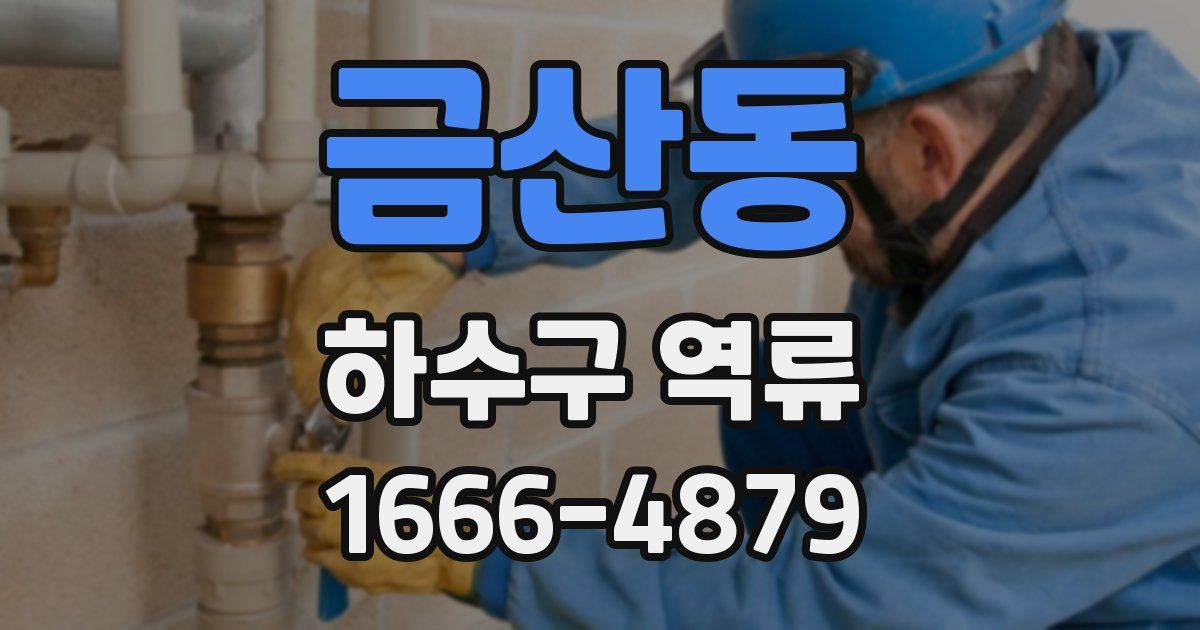 금산동 하수구 역류
