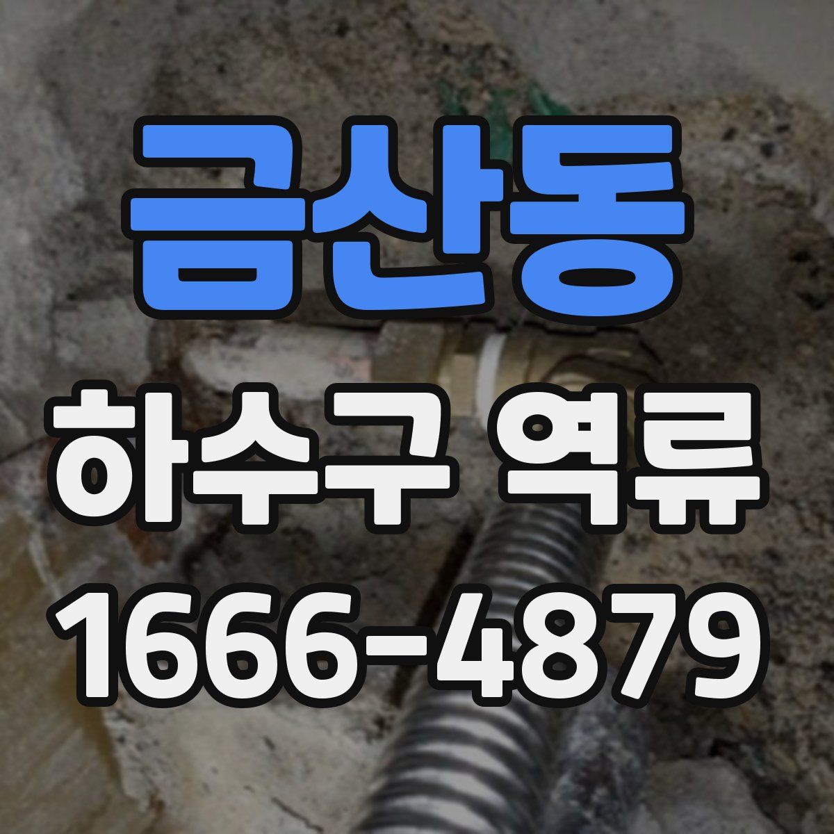 금산동 하수구 역류