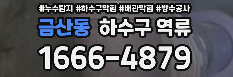금산동 하수구 역류